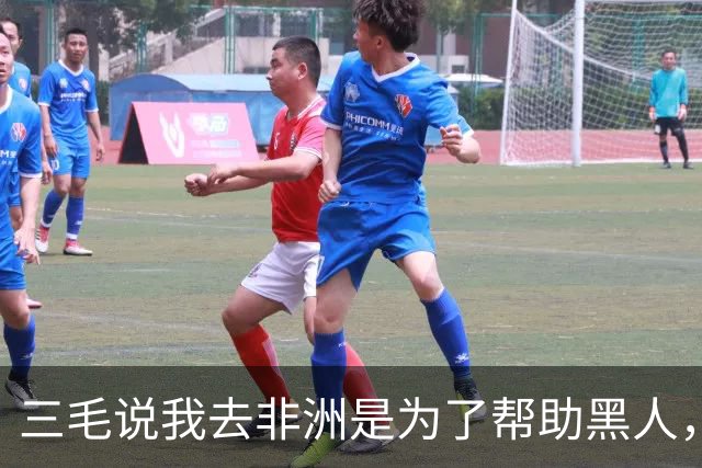 三毛说我去非洲是为了帮助黑人，李敖反问：你为什么不帮助黄人？